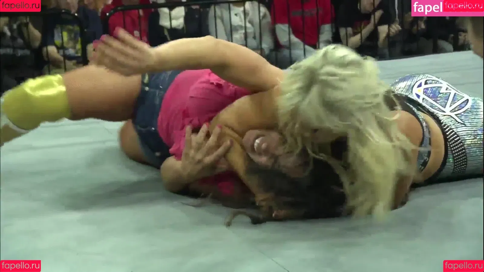 Mickie James / michelejames / themickiejames Onlyfans Photo Gallery 