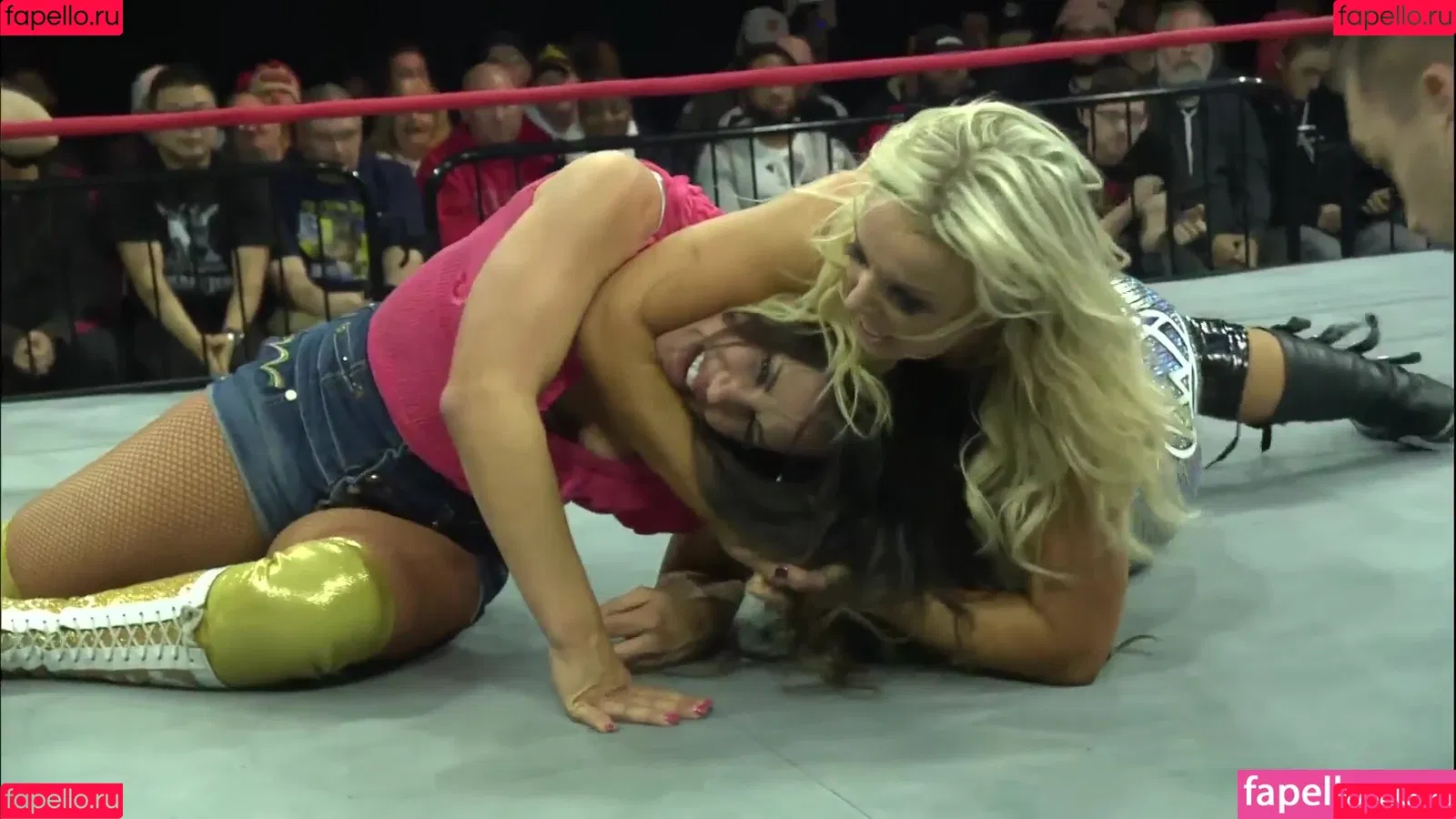 Mickie James / michelejames / themickiejames Onlyfans Photo Gallery 