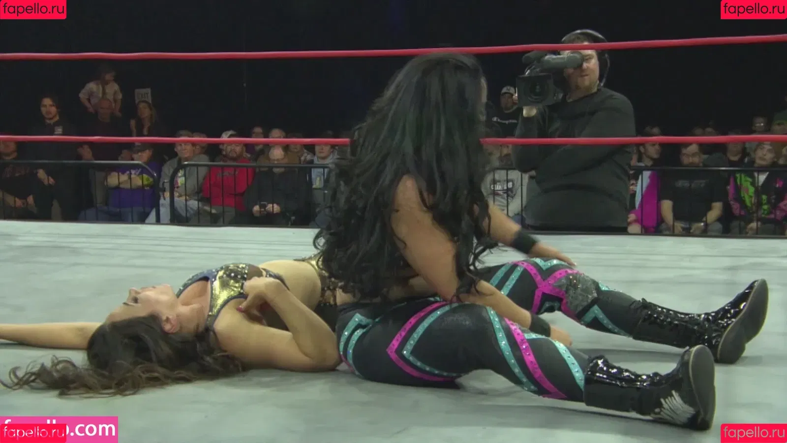 Mickie James / michelejames / themickiejames Onlyfans Photo Gallery 