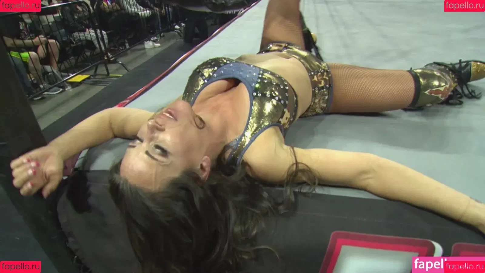 Mickie James / michelejames / themickiejames Onlyfans Photo Gallery 