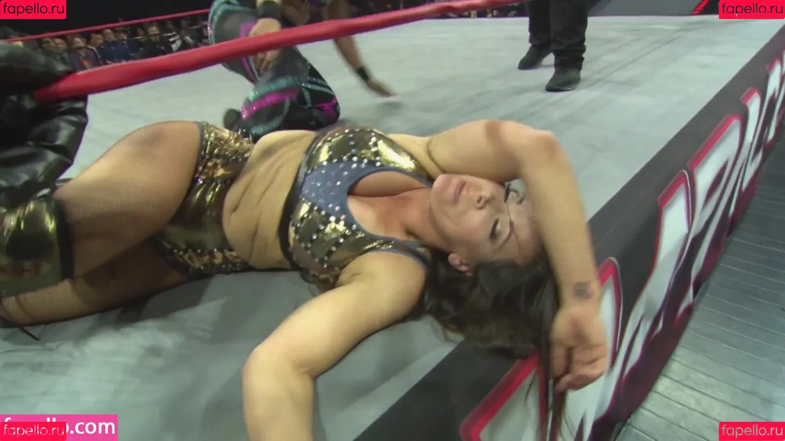 Mickie James / michelejames / themickiejames Onlyfans Photo Gallery 