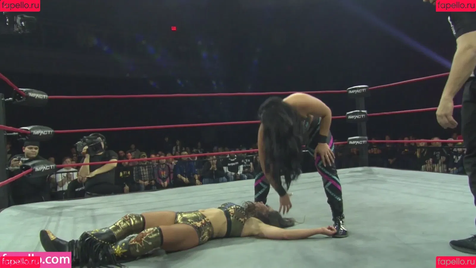 Mickie James / michelejames / themickiejames Onlyfans Photo Gallery 