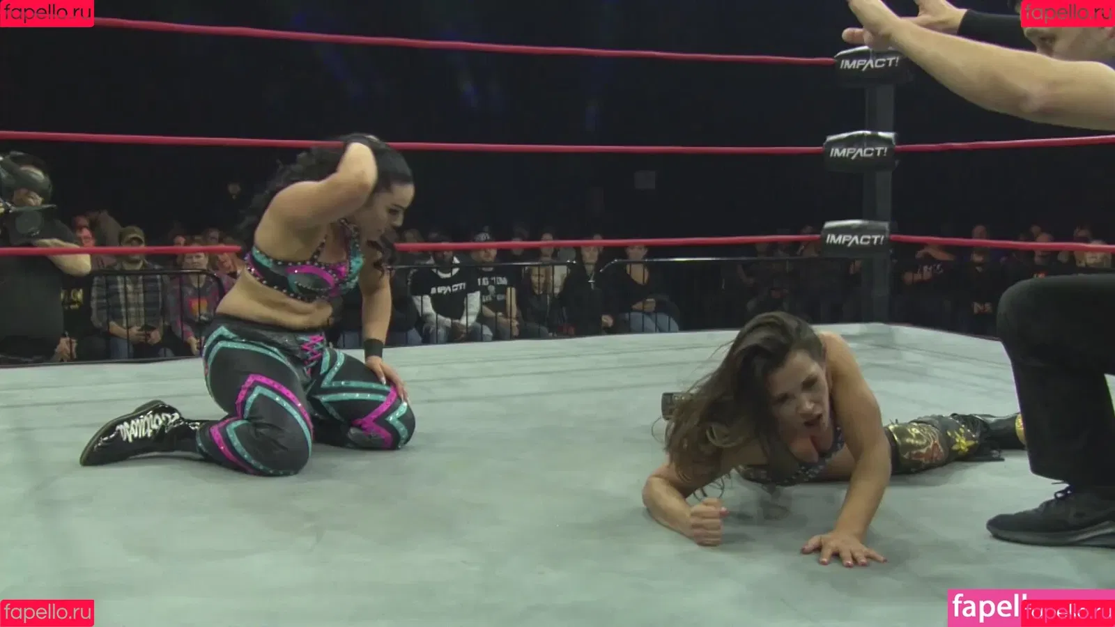 Mickie James / michelejames / themickiejames Onlyfans Photo Gallery 