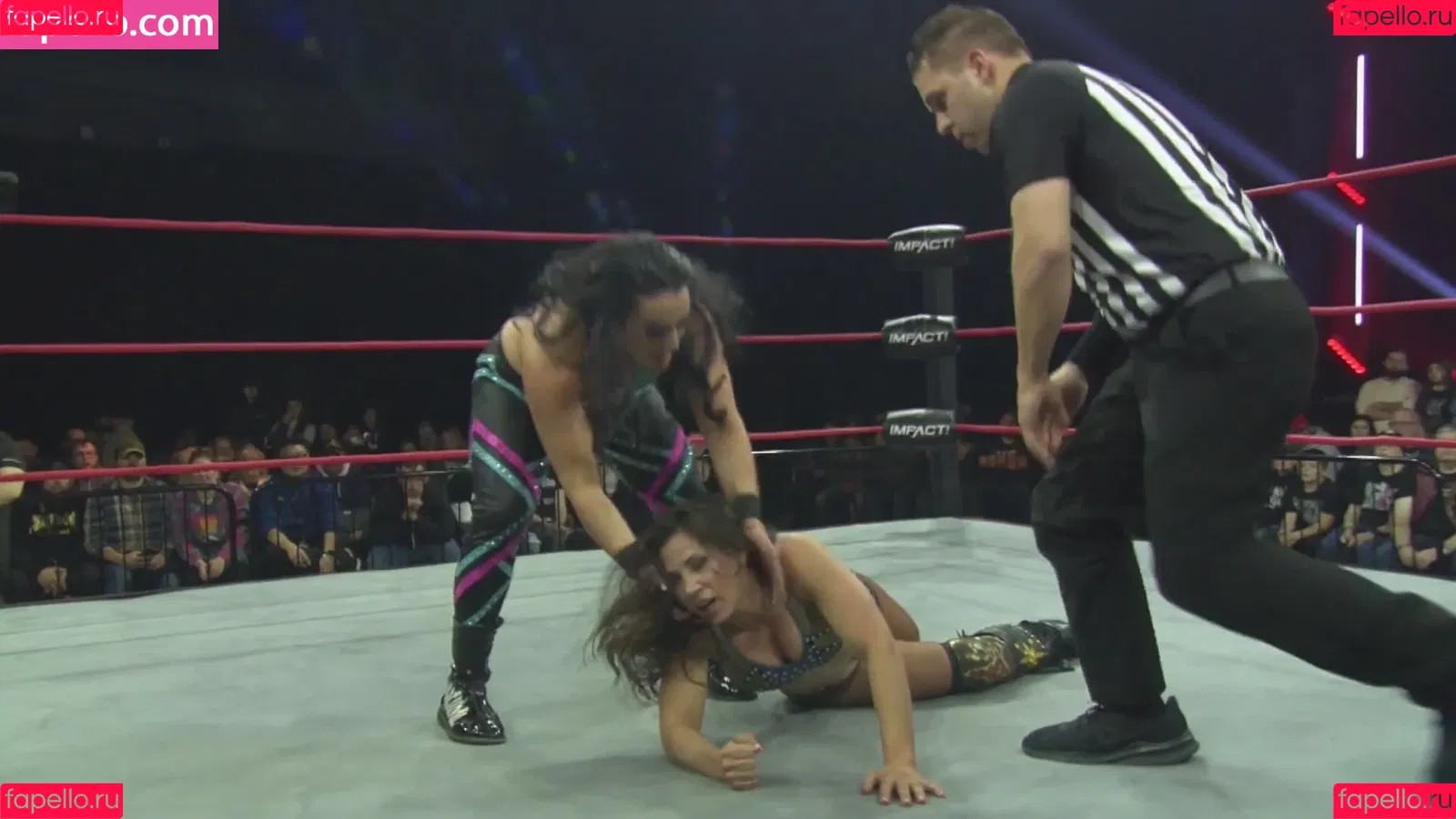 Mickie James / michelejames / themickiejames Onlyfans Photo Gallery 