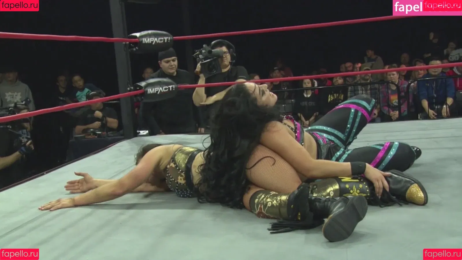 Mickie James / michelejames / themickiejames Onlyfans Photo Gallery 