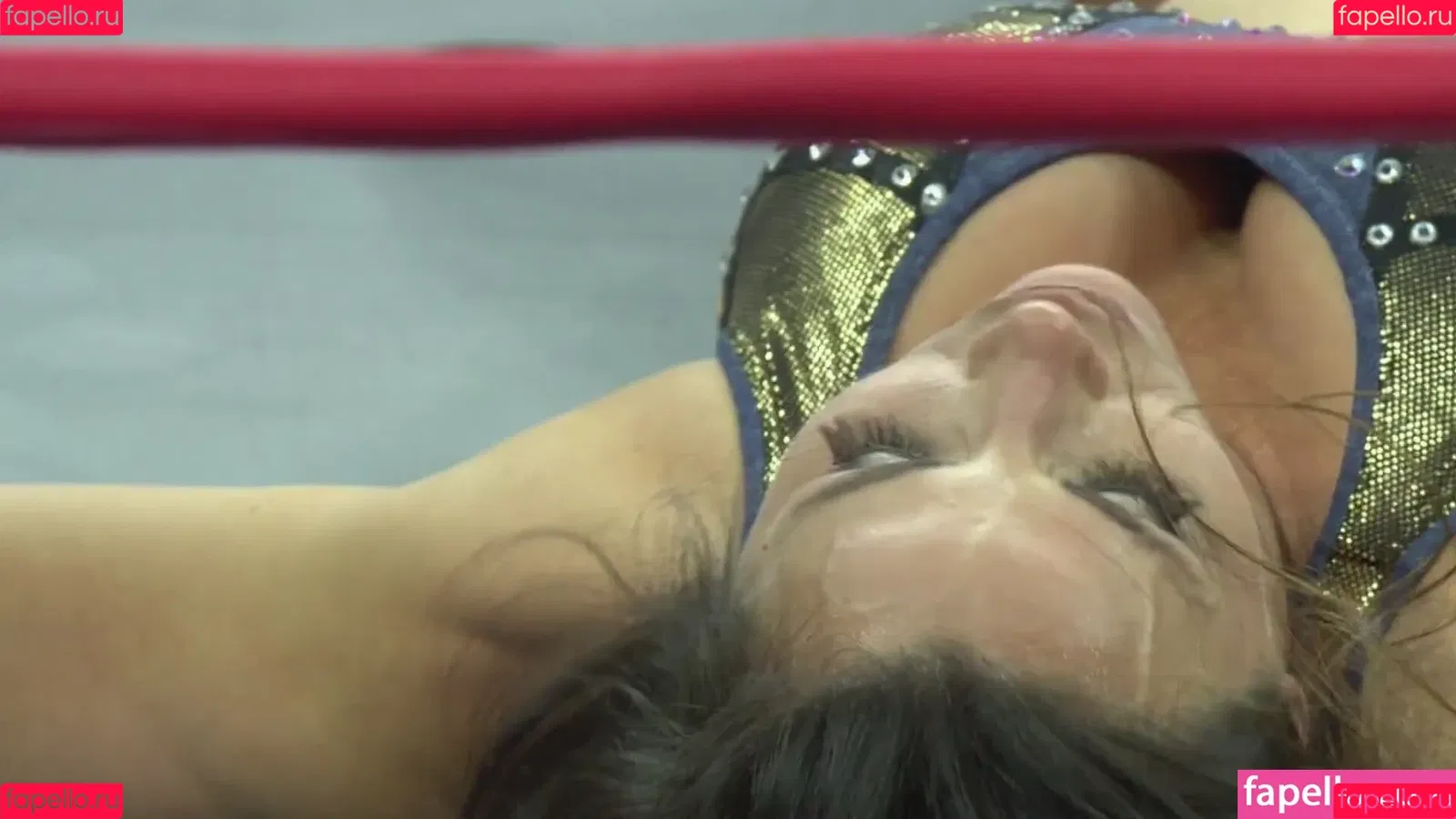 Mickie James / michelejames / themickiejames Onlyfans Photo Gallery 