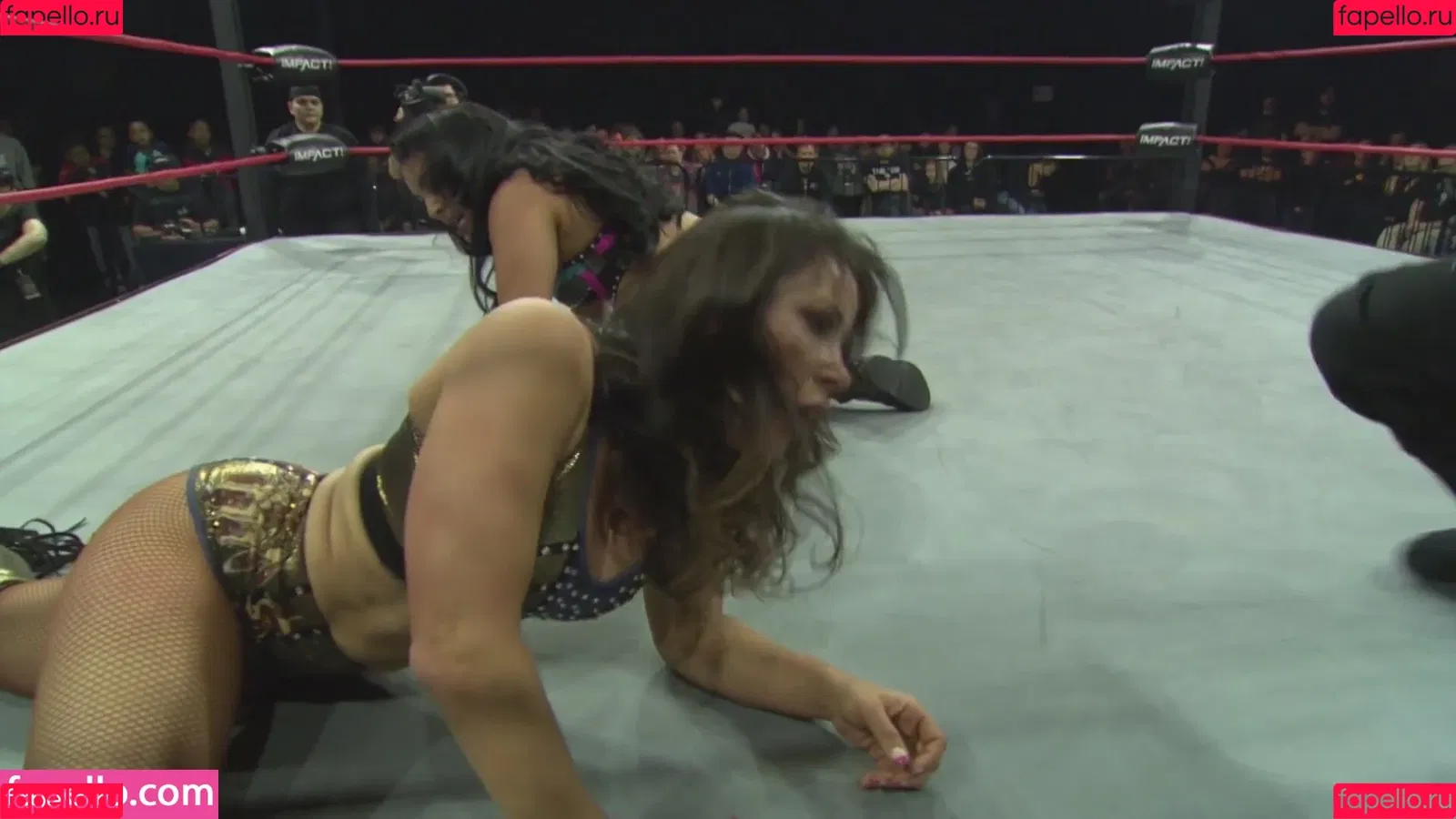 Mickie James / michelejames / themickiejames Onlyfans Photo Gallery 