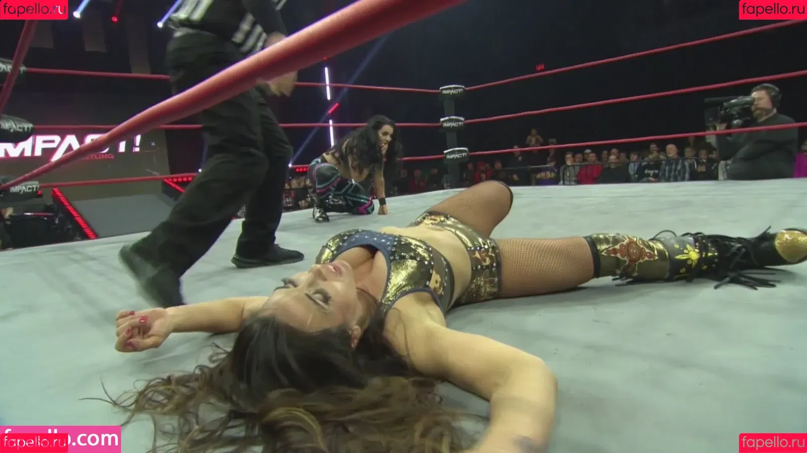 Mickie James / michelejames / themickiejames Onlyfans Photo Gallery 