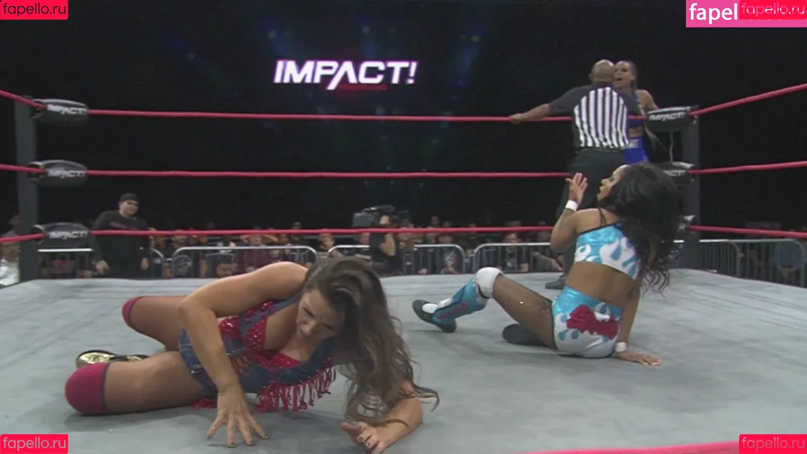 Mickie James / michelejames / themickiejames Onlyfans Photo Gallery 