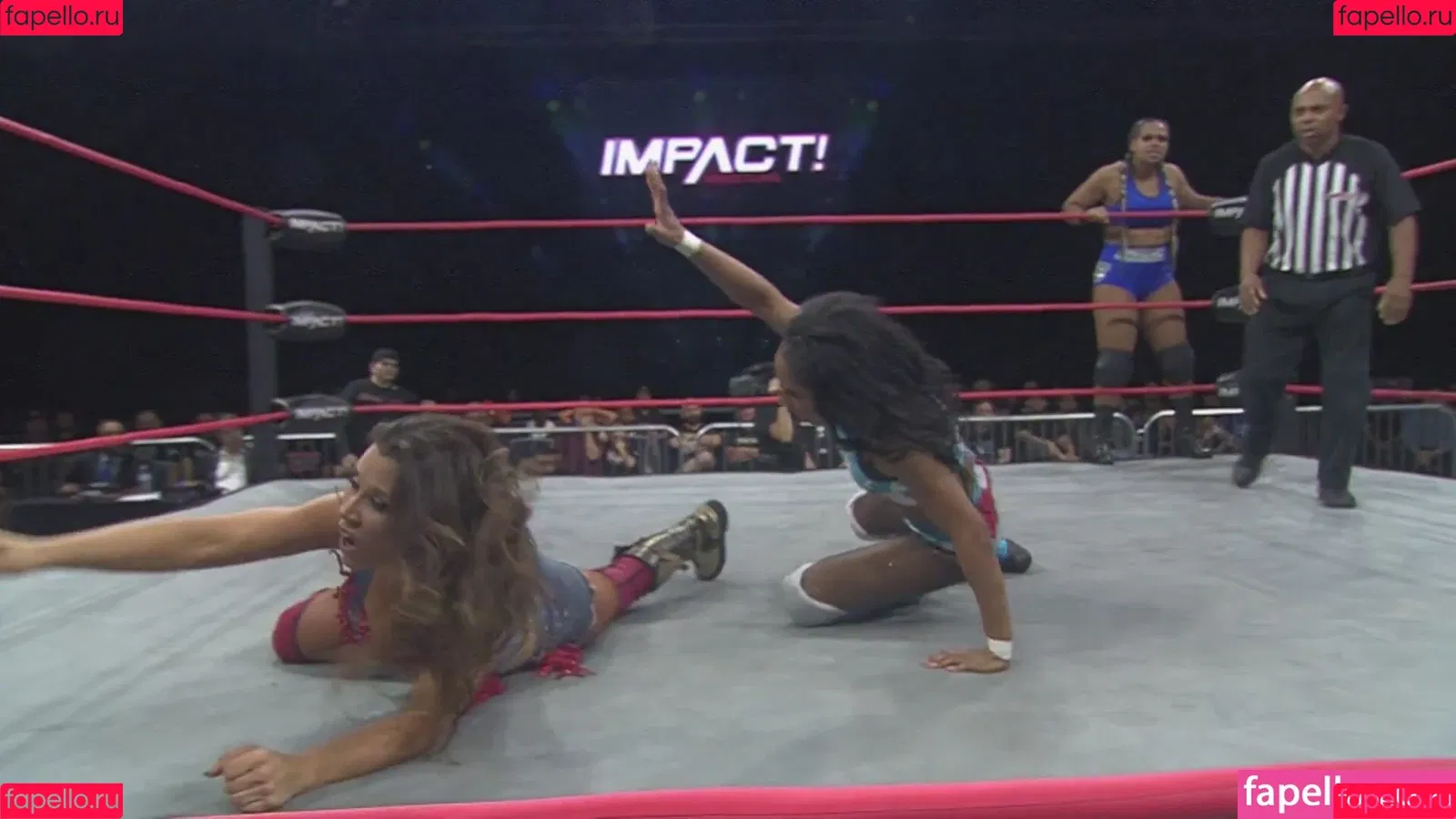 Mickie James / michelejames / themickiejames Onlyfans Photo Gallery 