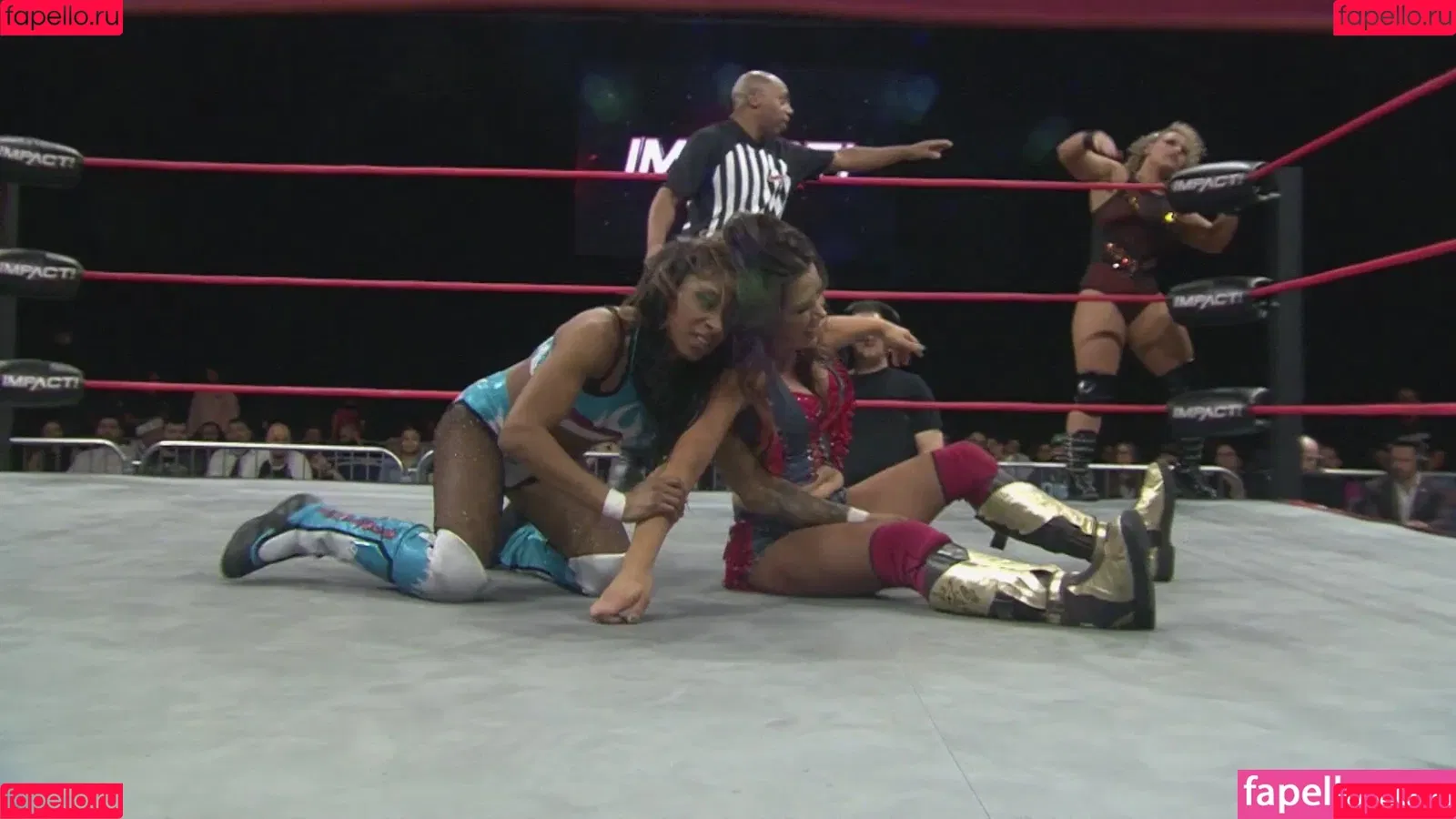 Mickie James / michelejames / themickiejames Onlyfans Photo Gallery 