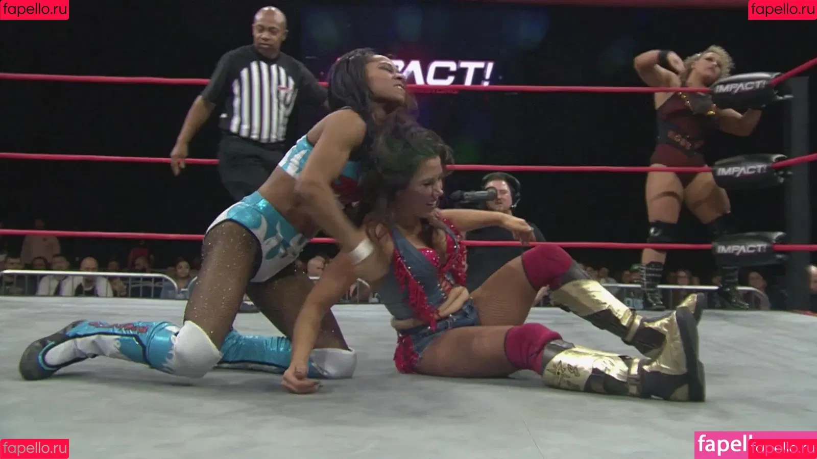 Mickie James / michelejames / themickiejames Onlyfans Photo Gallery 