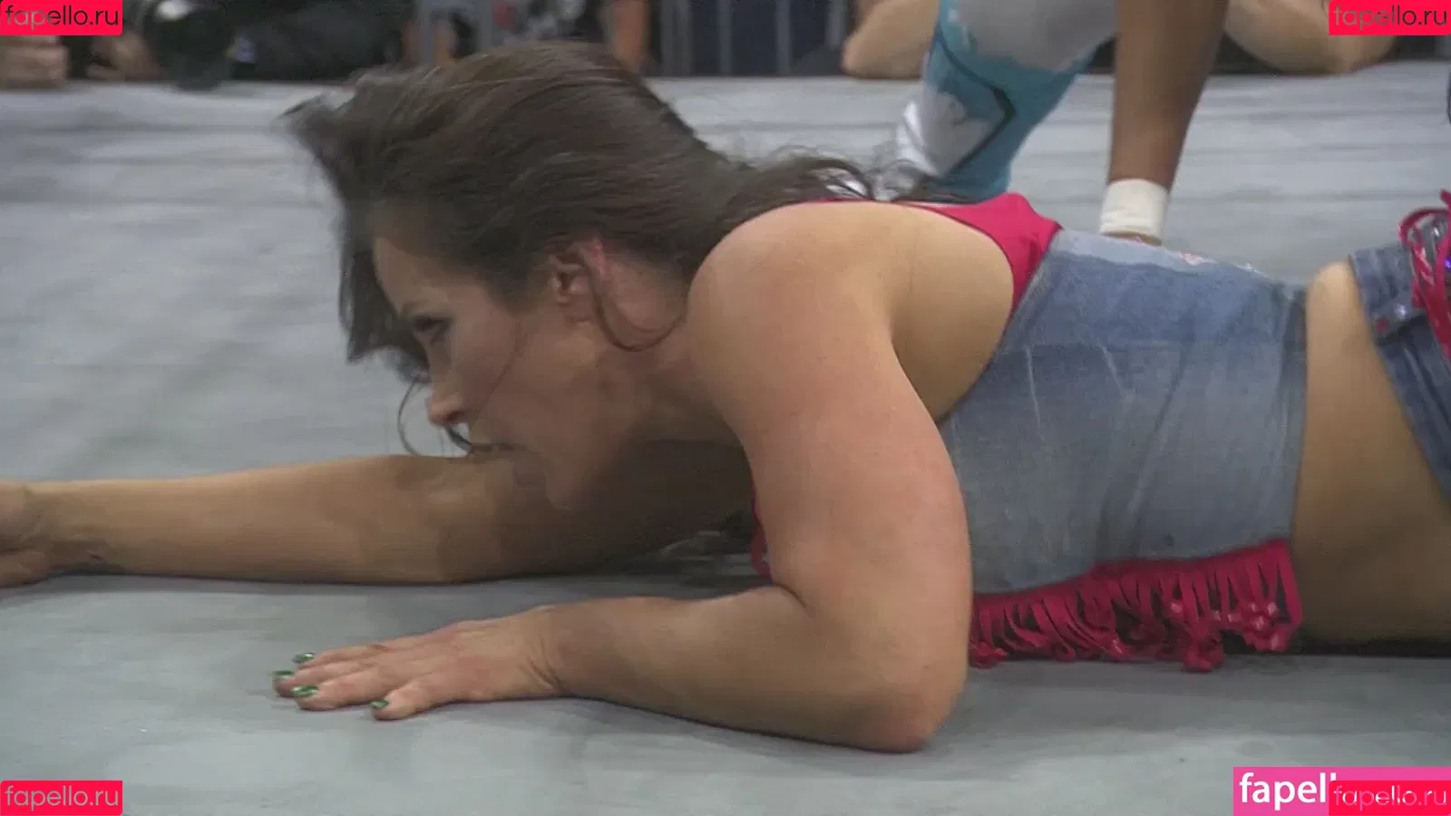 Mickie James / michelejames / themickiejames Onlyfans Photo Gallery 
