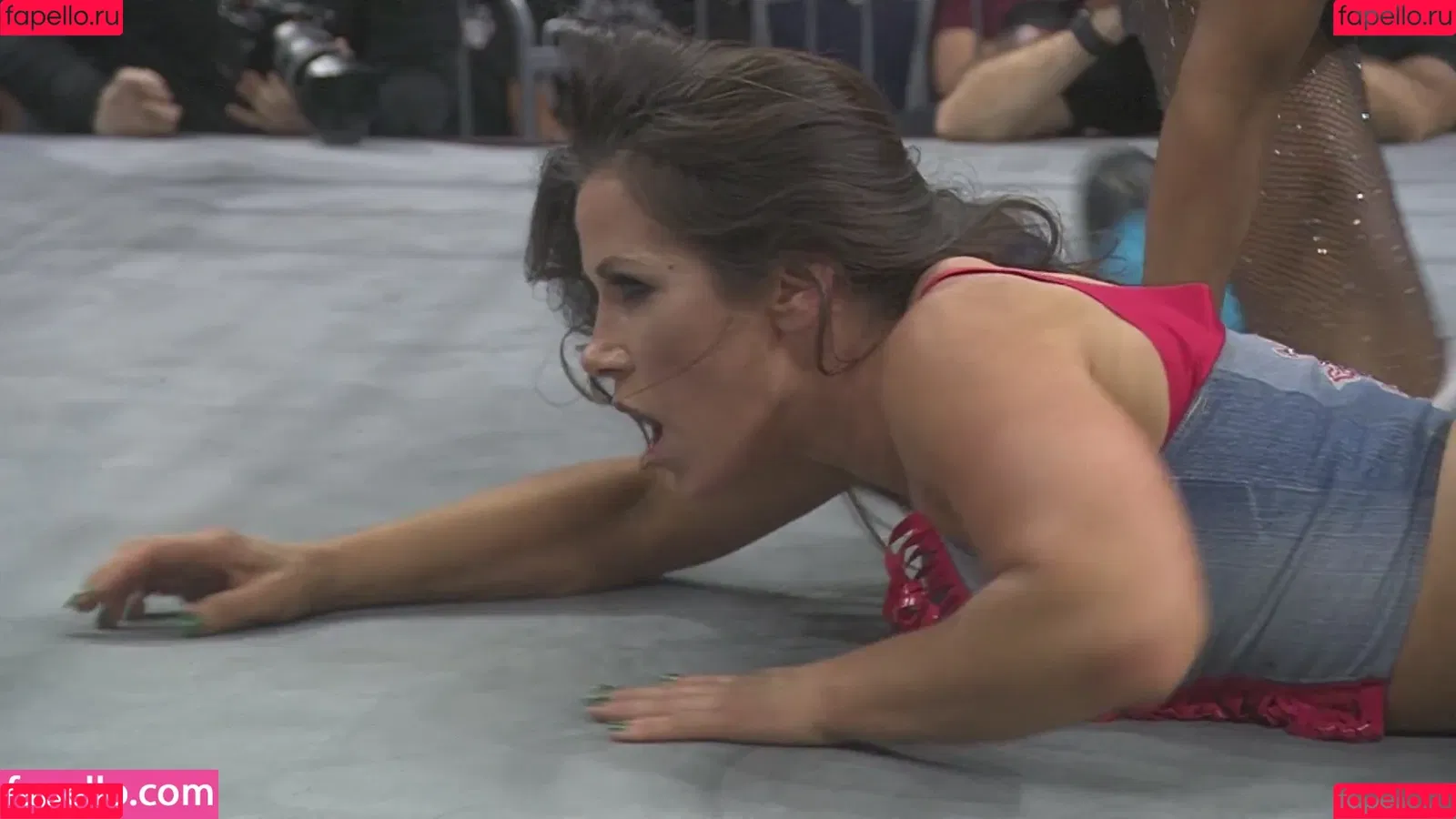 Mickie James / michelejames / themickiejames Onlyfans Photo Gallery 
