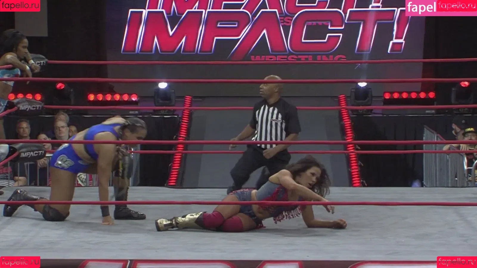 Mickie James / michelejames / themickiejames Onlyfans Photo Gallery 