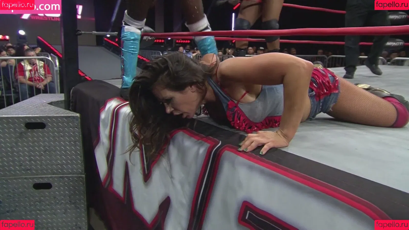 Mickie James / michelejames / themickiejames Onlyfans Photo Gallery 
