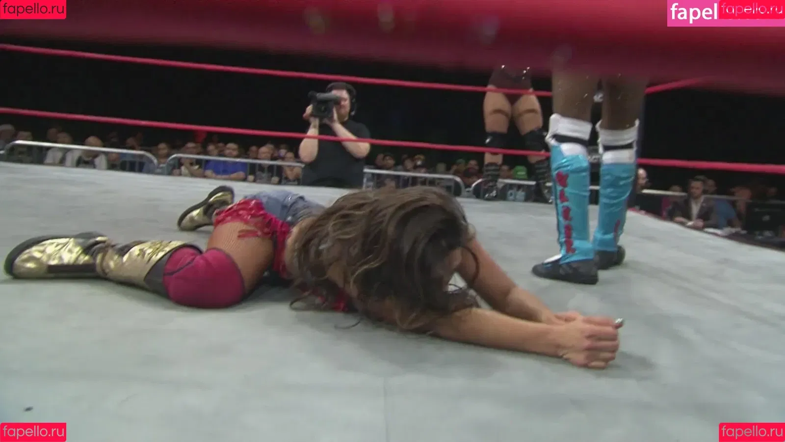 Mickie James / michelejames / themickiejames Onlyfans Photo Gallery 