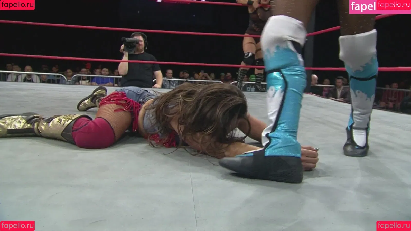 Mickie James / michelejames / themickiejames Onlyfans Photo Gallery 