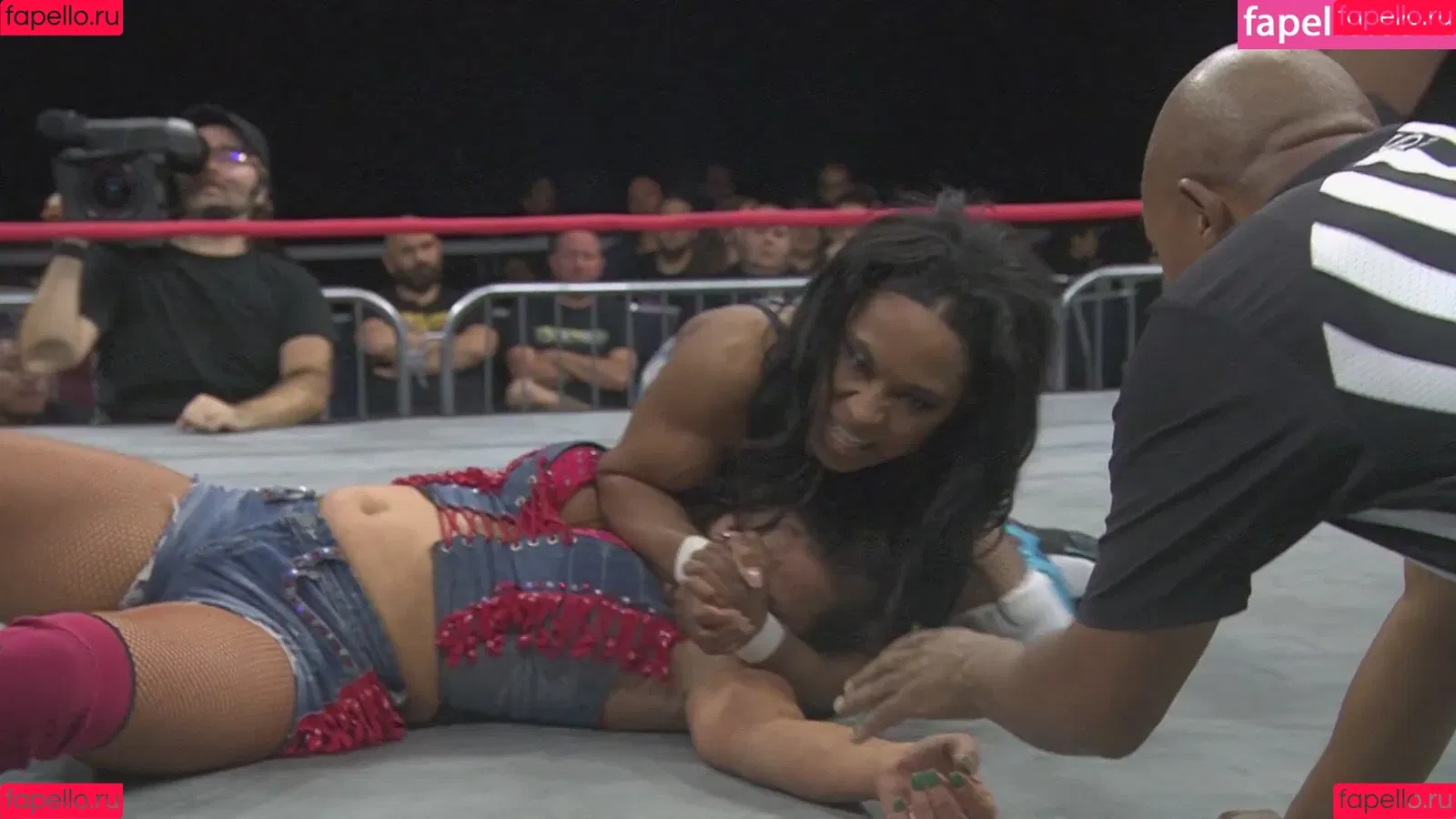 Mickie James / michelejames / themickiejames Onlyfans Photo Gallery 