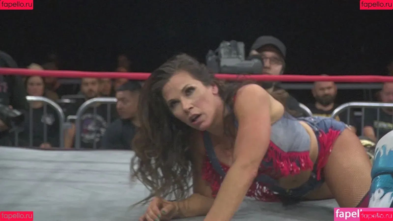 Mickie James / michelejames / themickiejames Onlyfans Photo Gallery 