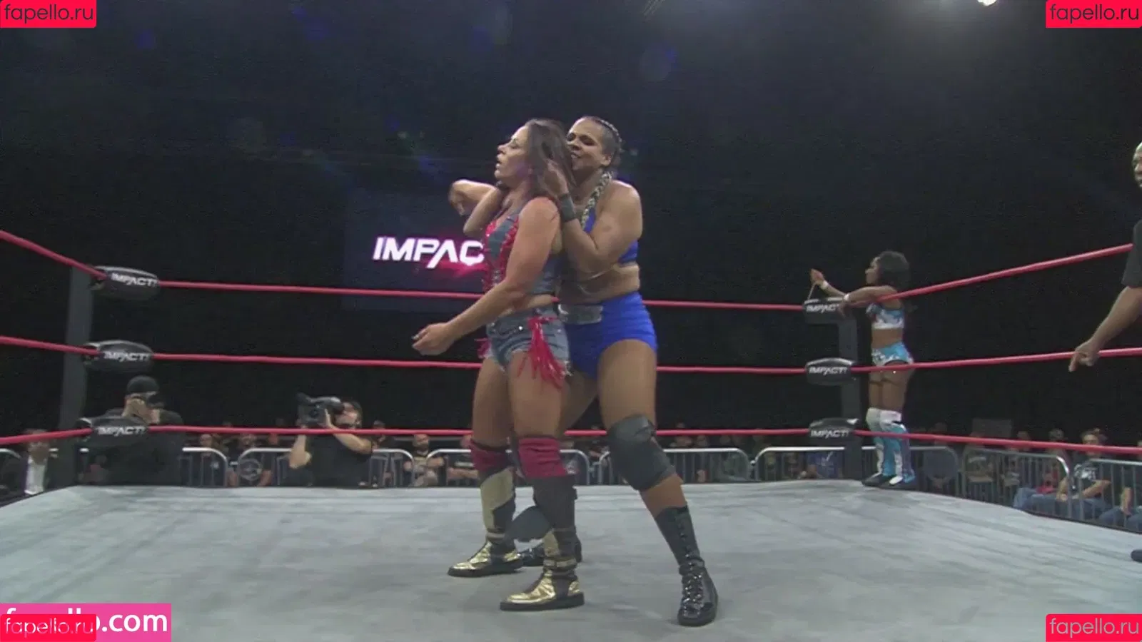 Mickie James / michelejames / themickiejames Onlyfans Photo Gallery 