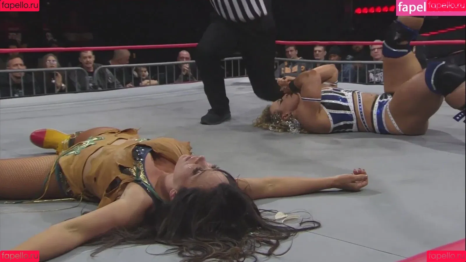 Mickie James / michelejames / themickiejames Onlyfans Photo Gallery 