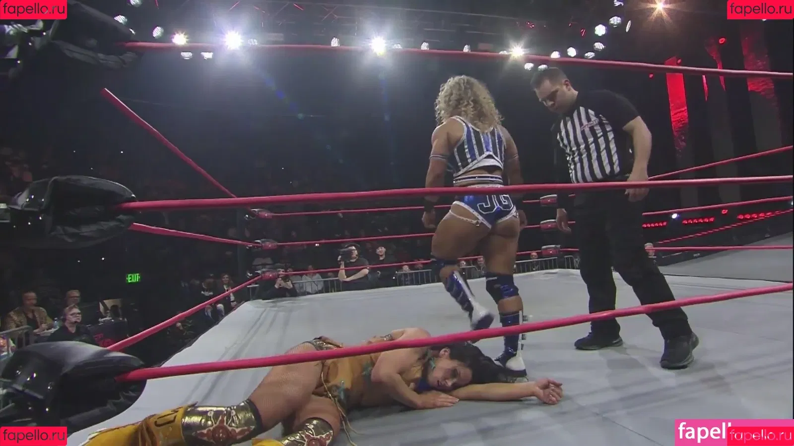 Mickie James / michelejames / themickiejames Onlyfans Photo Gallery 
