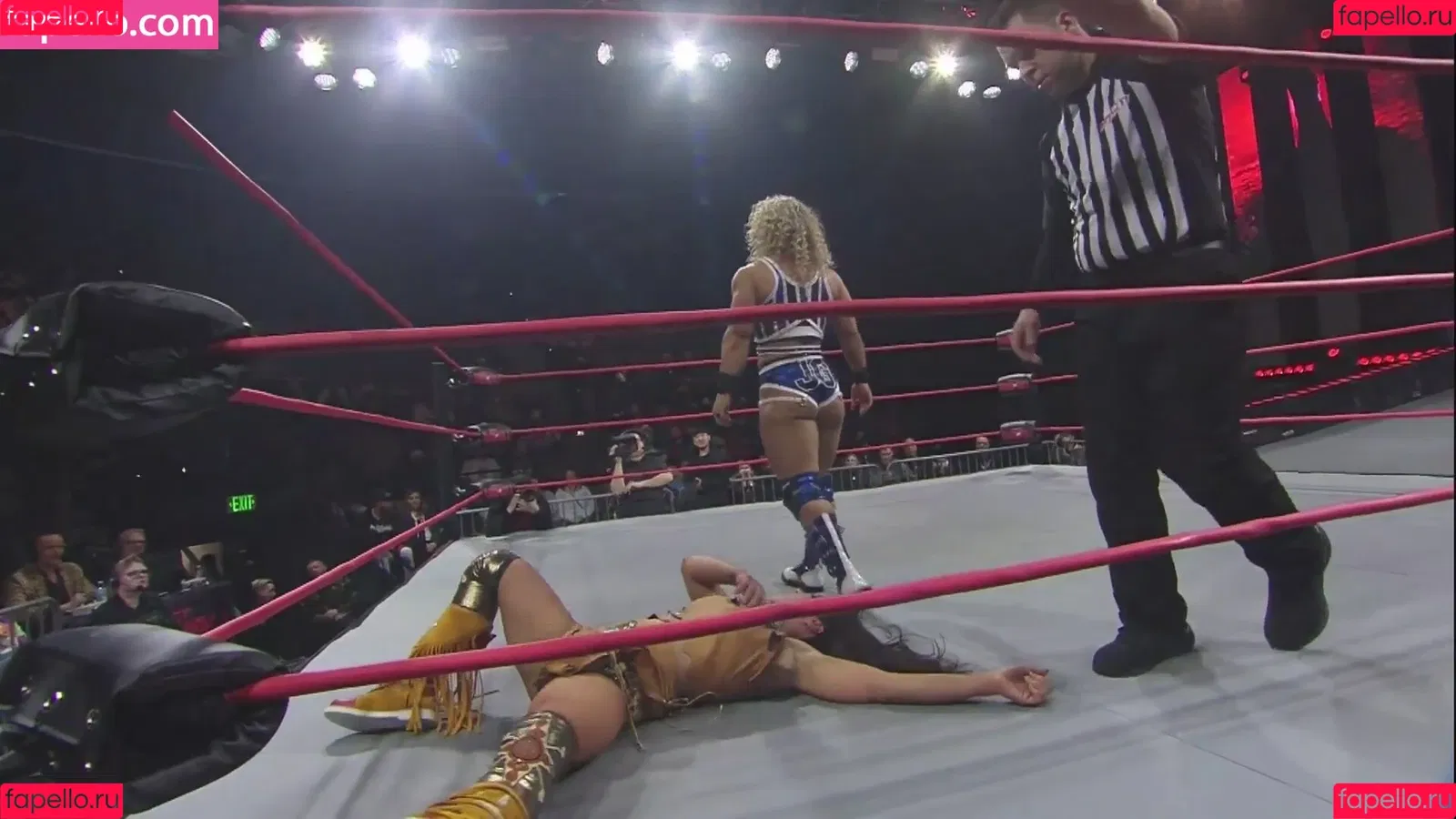 Mickie James / michelejames / themickiejames Onlyfans Photo Gallery 