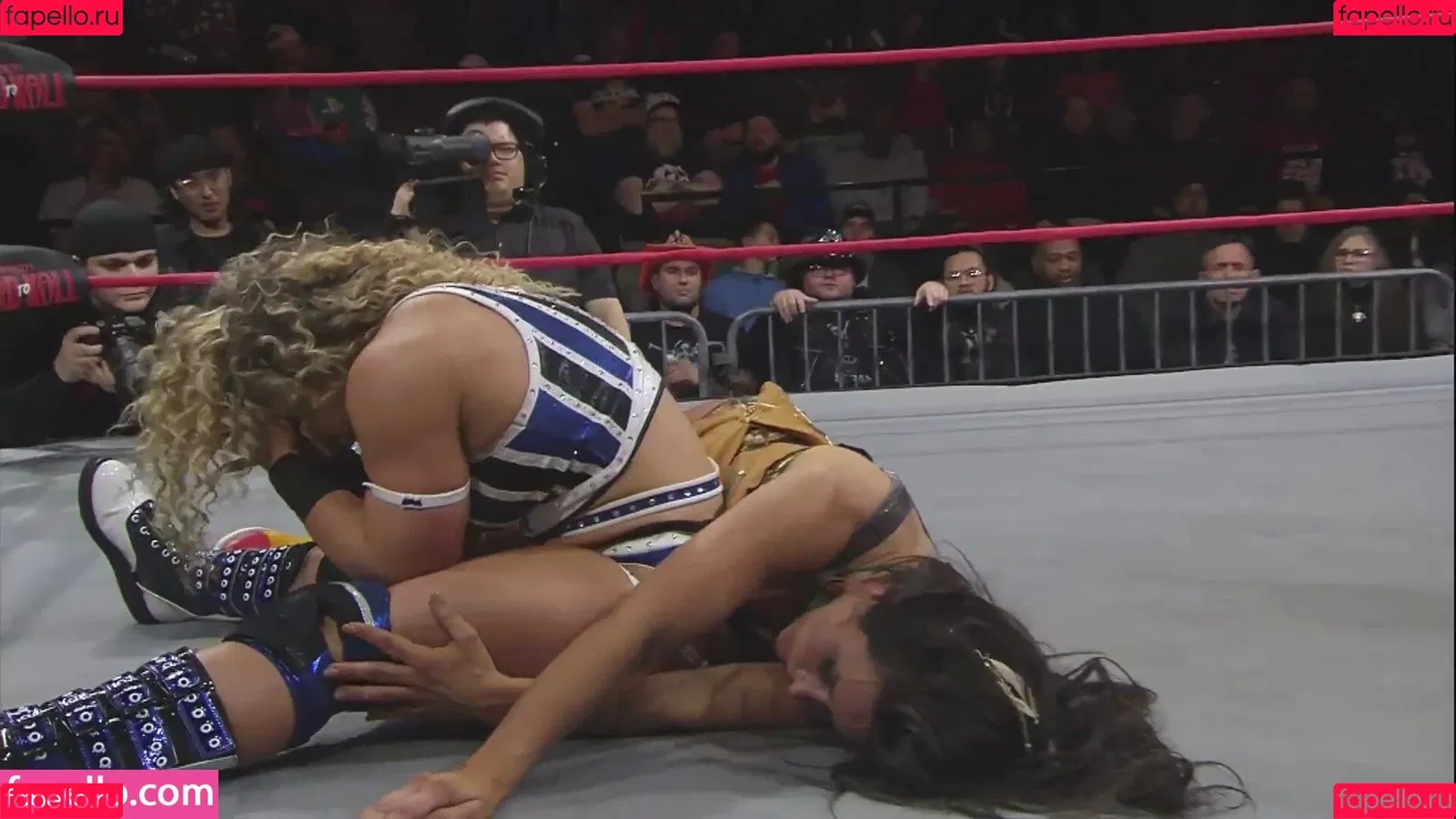 Mickie James / michelejames / themickiejames Onlyfans Photo Gallery 