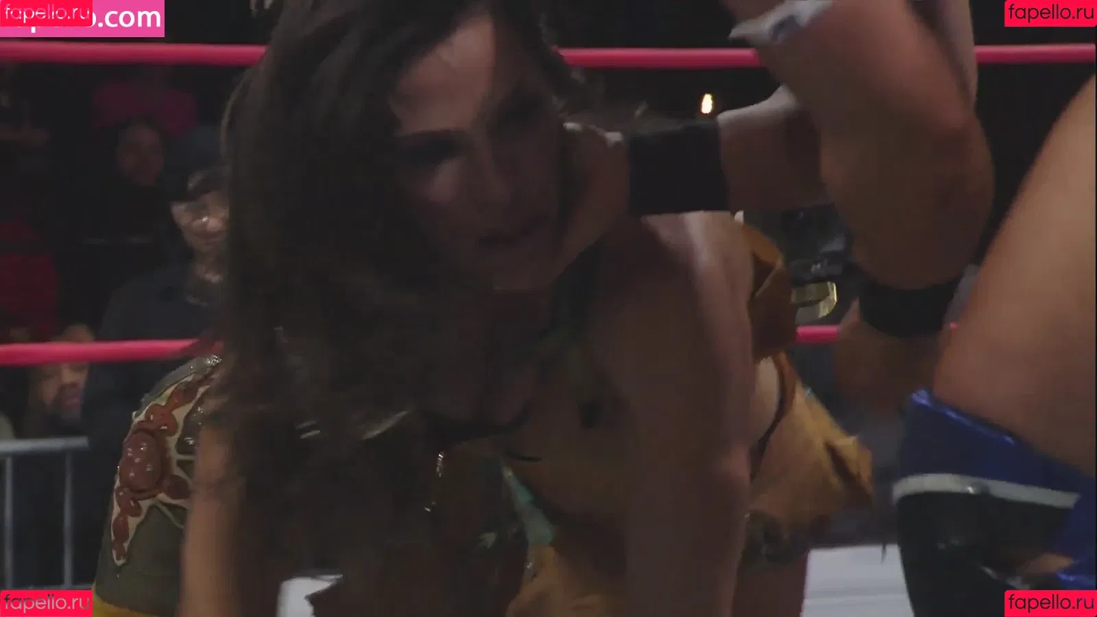 Mickie James / michelejames / themickiejames Onlyfans Photo Gallery 