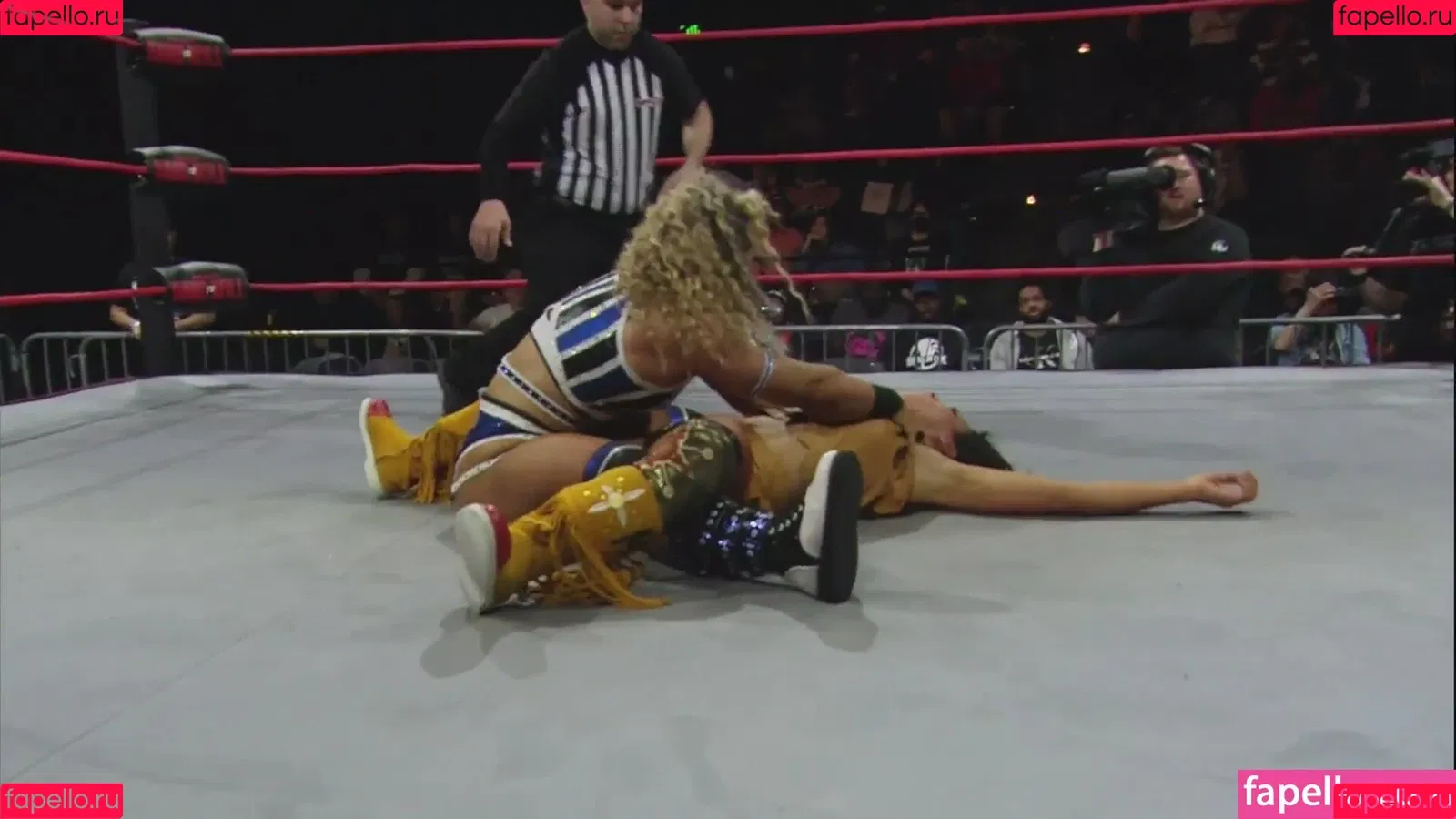 Mickie James / michelejames / themickiejames Onlyfans Photo Gallery 
