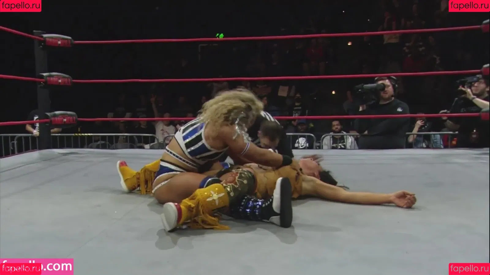 Mickie James / michelejames / themickiejames Onlyfans Photo Gallery 