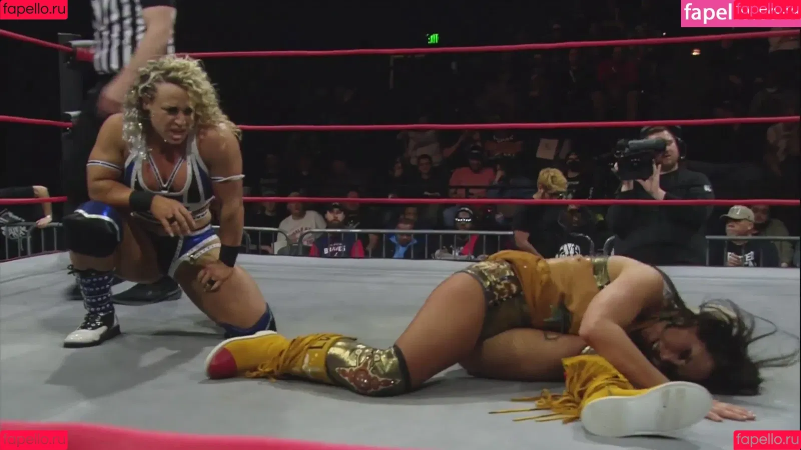 Mickie James / michelejames / themickiejames Onlyfans Photo Gallery 