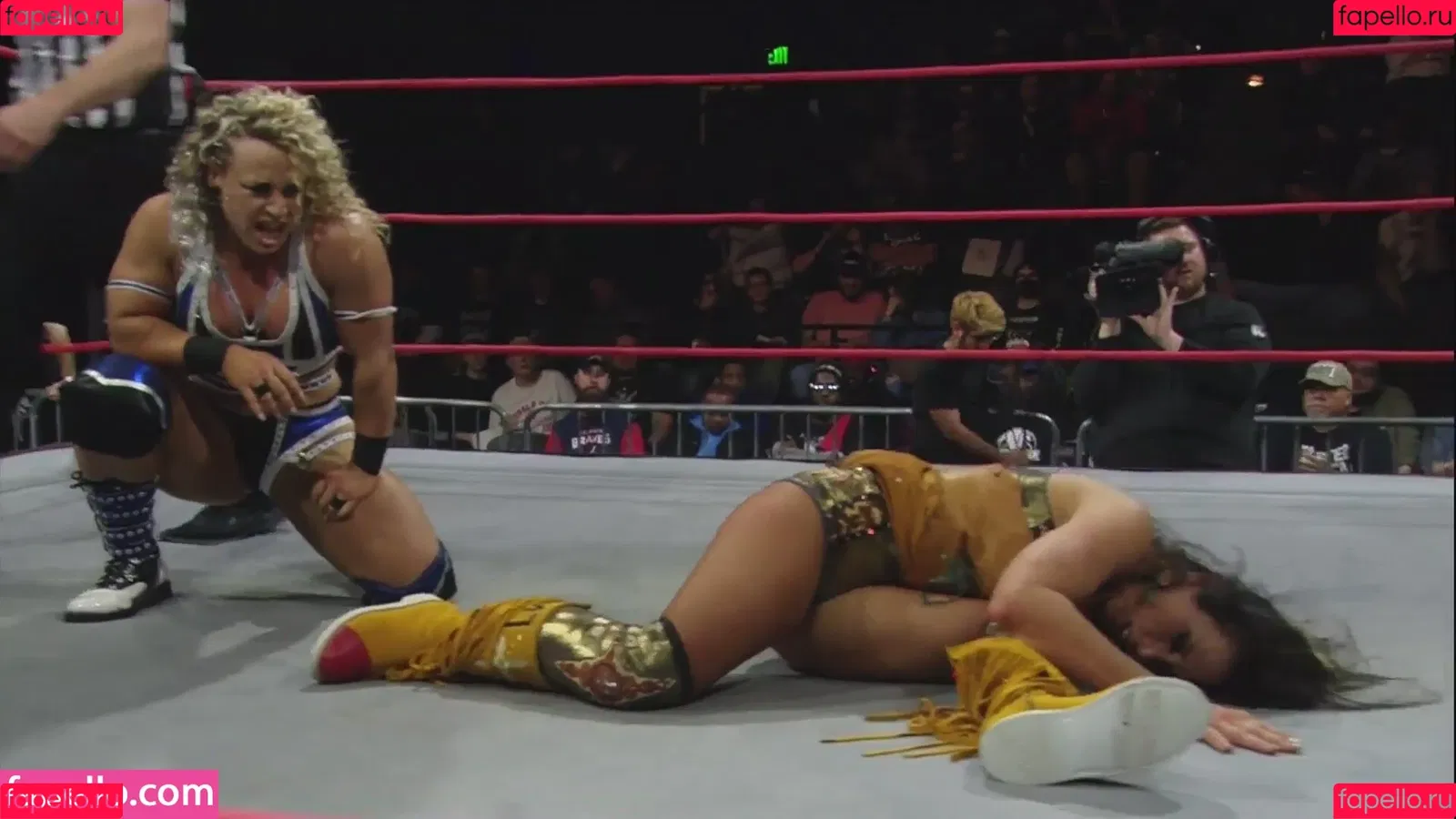 Mickie James / michelejames / themickiejames Onlyfans Photo Gallery 