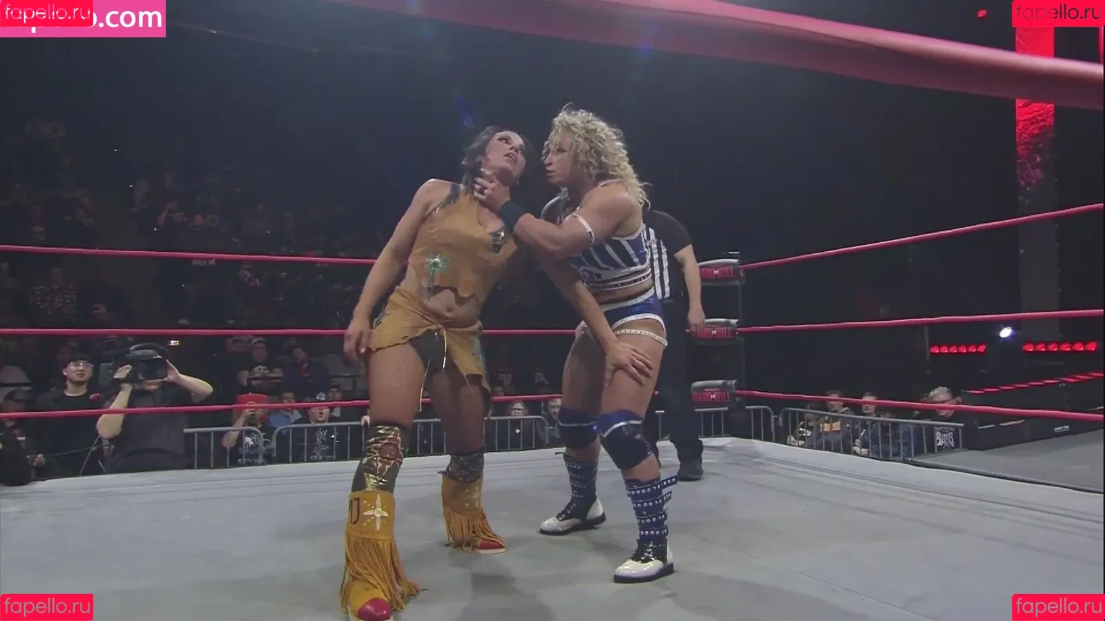 Mickie James / michelejames / themickiejames Onlyfans Photo Gallery 