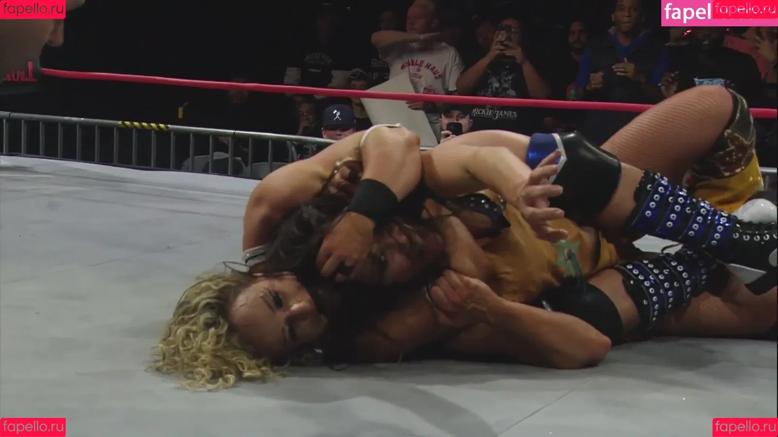Mickie James / michelejames / themickiejames Onlyfans Photo Gallery 