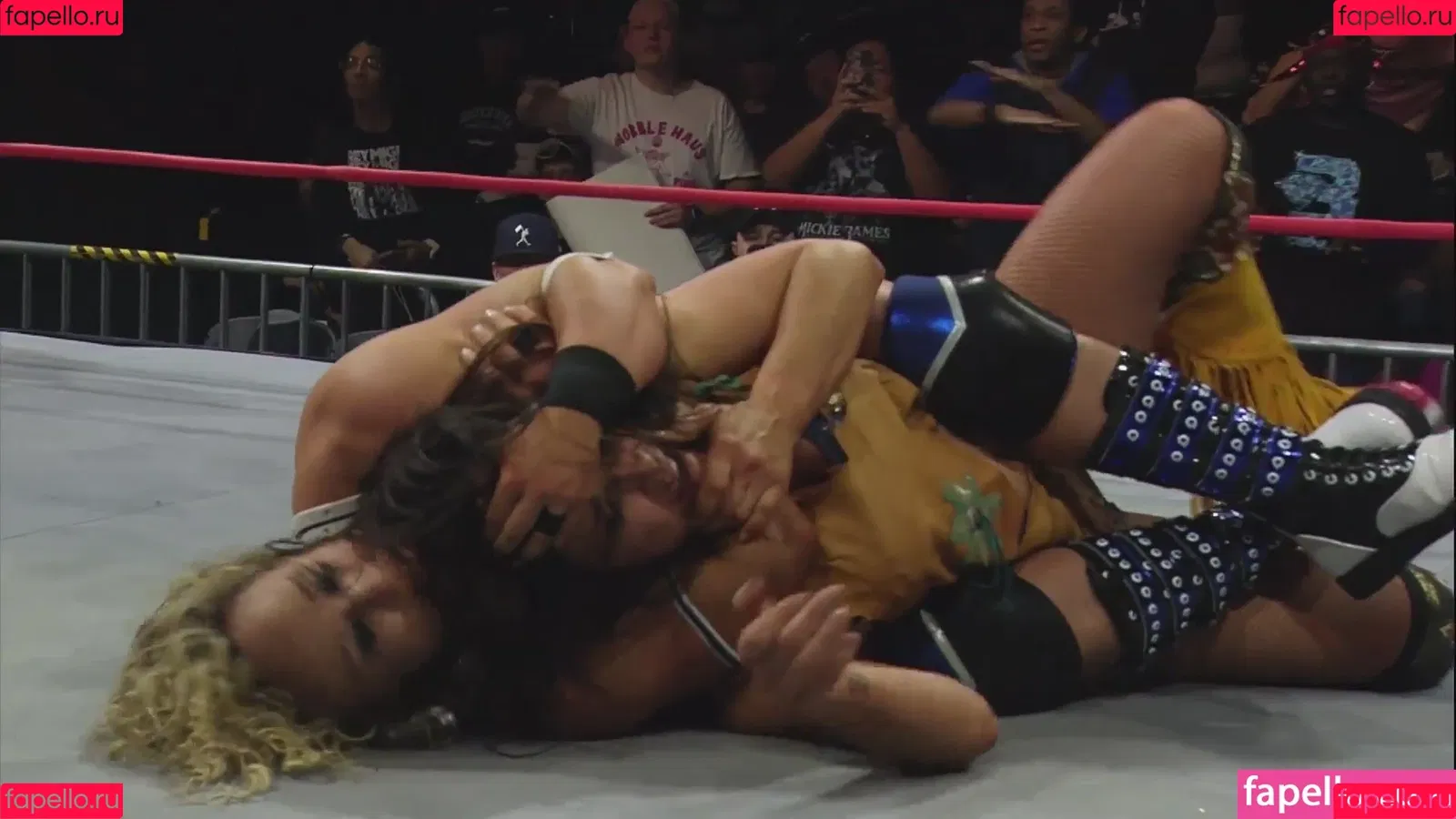 Mickie James / michelejames / themickiejames Onlyfans Photo Gallery 