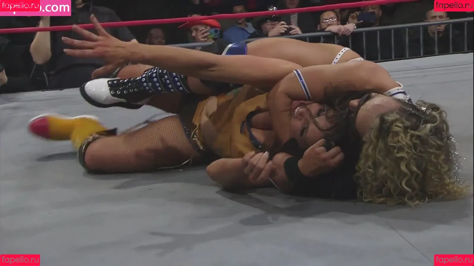 Mickie James / michelejames / themickiejames Onlyfans Photo Gallery 