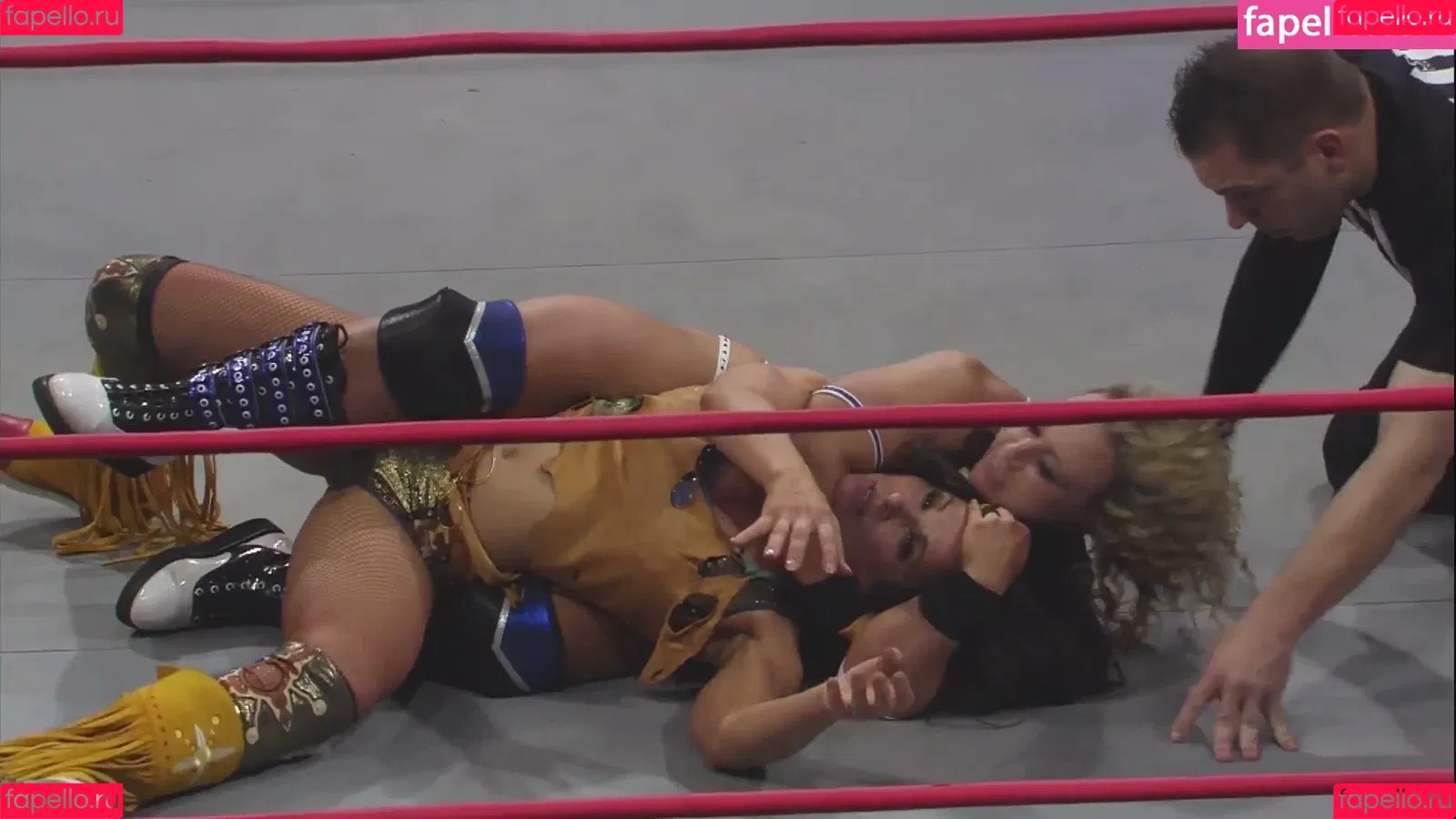Mickie James / michelejames / themickiejames Onlyfans Photo Gallery 