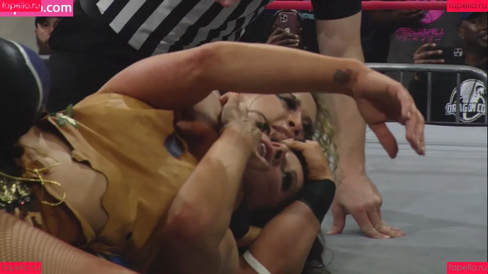 Mickie James / michelejames / themickiejames Onlyfans Photo Gallery 