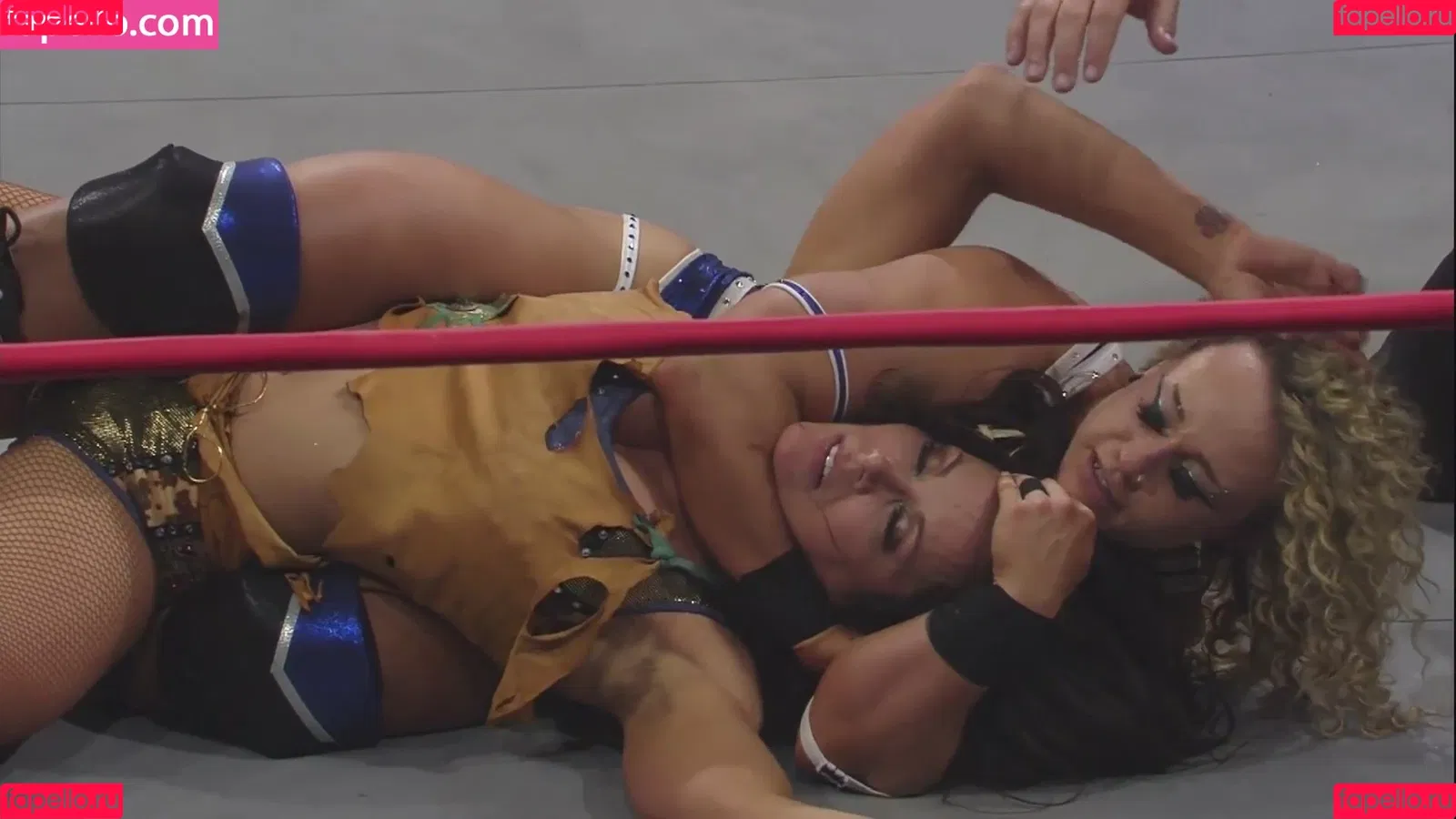 Mickie James / michelejames / themickiejames Onlyfans Photo Gallery 