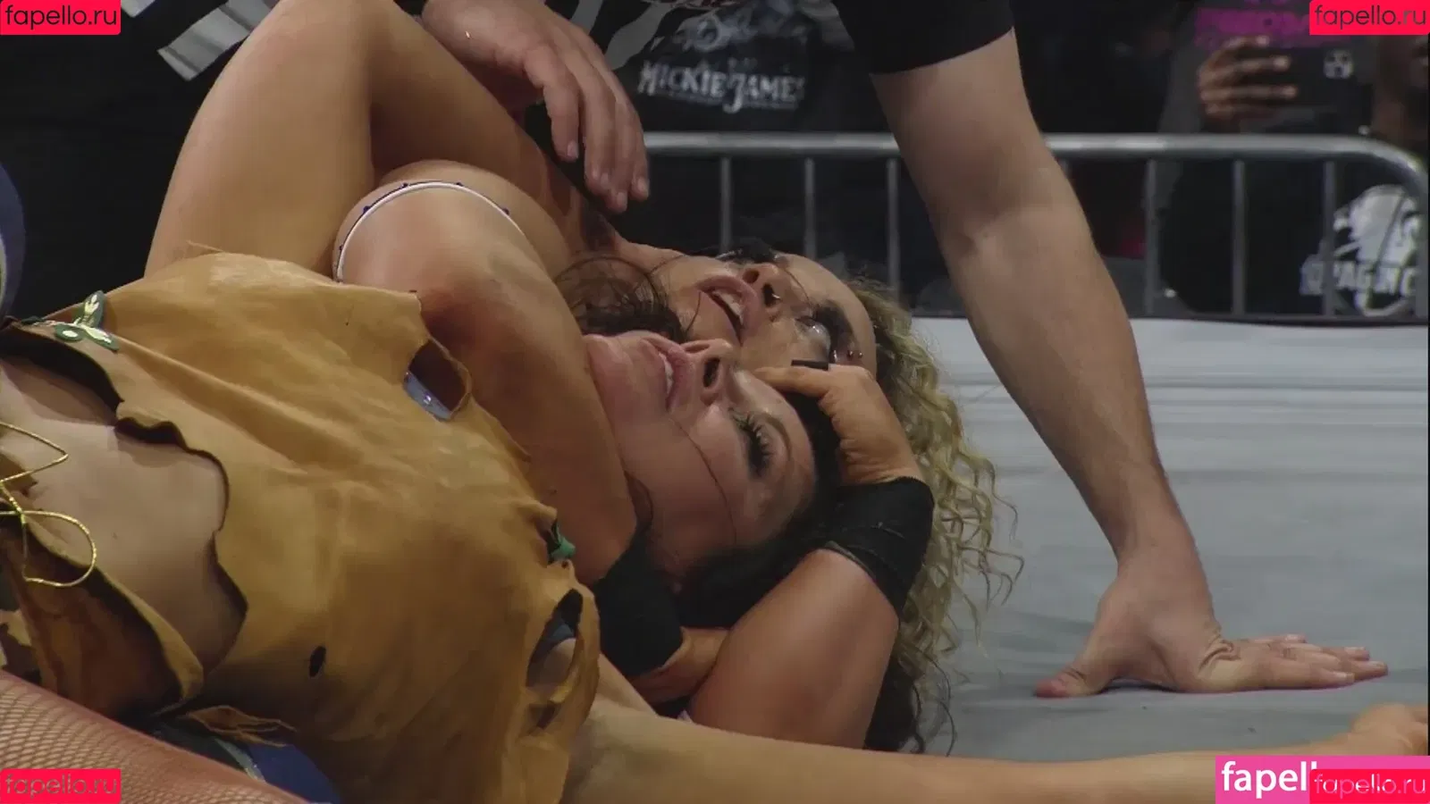 Mickie James / michelejames / themickiejames Onlyfans Photo Gallery 