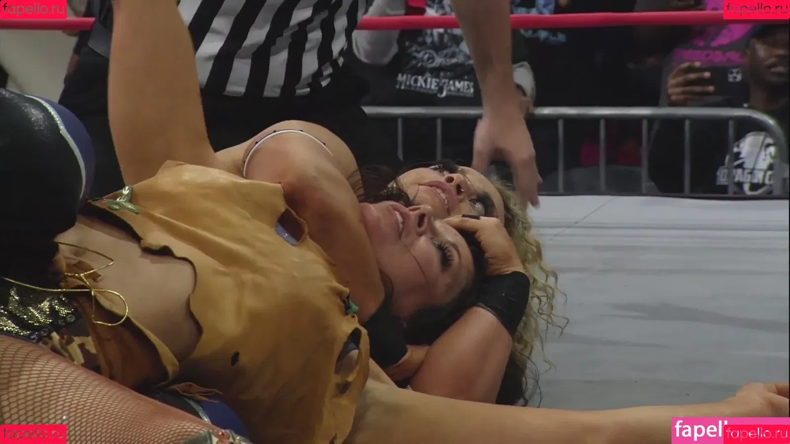 Mickie James / michelejames / themickiejames Onlyfans Photo Gallery 