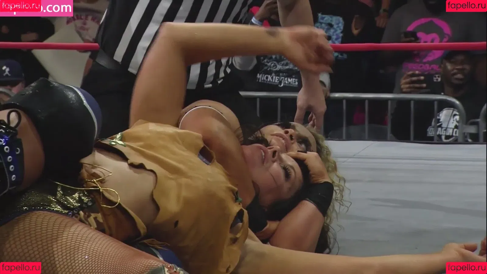 Mickie James / michelejames / themickiejames Onlyfans Photo Gallery 