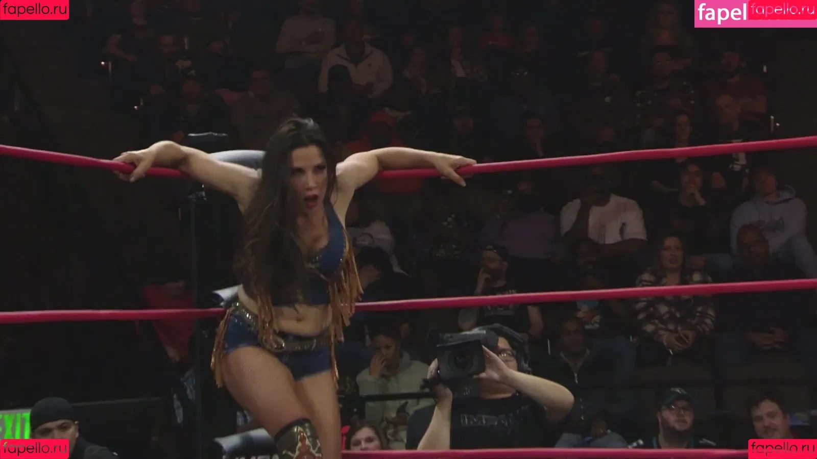 Mickie James / michelejames / themickiejames Onlyfans Photo Gallery 