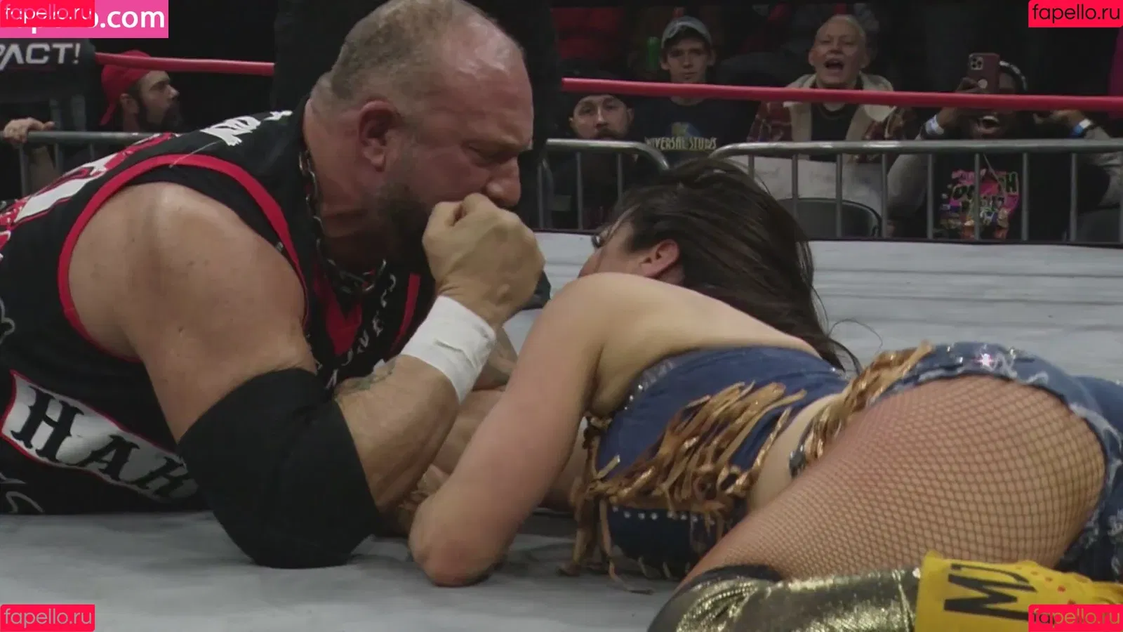 Mickie James / michelejames / themickiejames Onlyfans Photo Gallery 