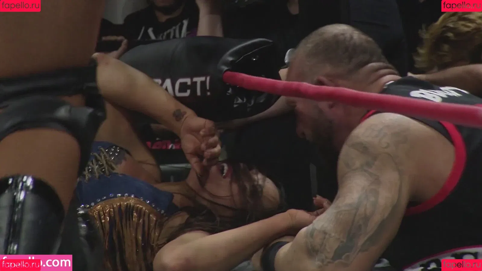 Mickie James / michelejames / themickiejames Onlyfans Photo Gallery 