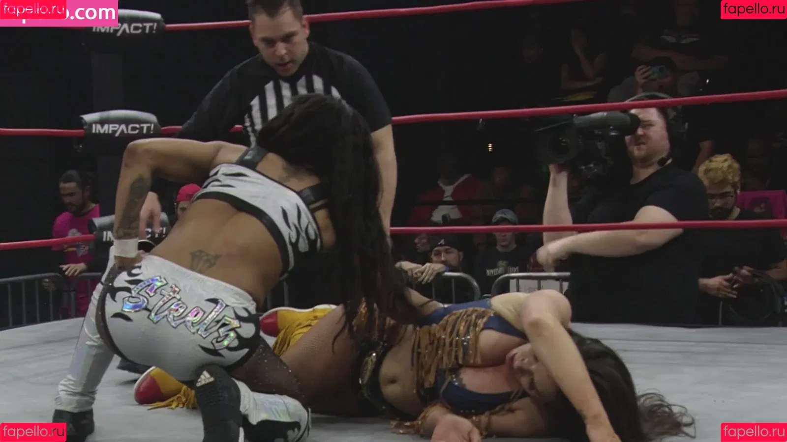Mickie James / michelejames / themickiejames Onlyfans Photo Gallery 