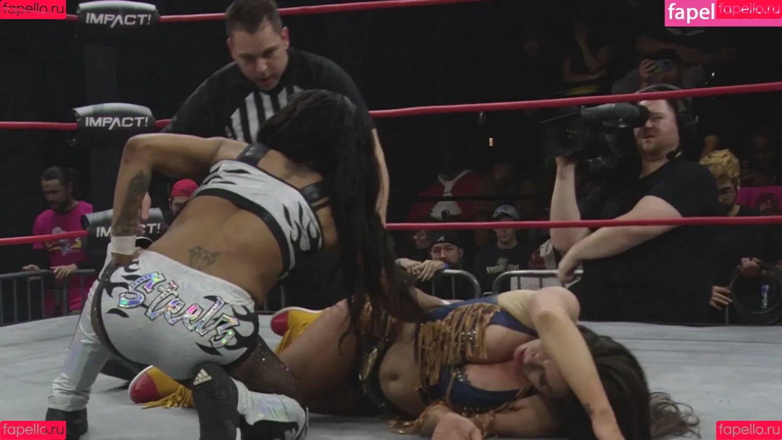 Mickie James / michelejames / themickiejames Onlyfans Photo Gallery 
