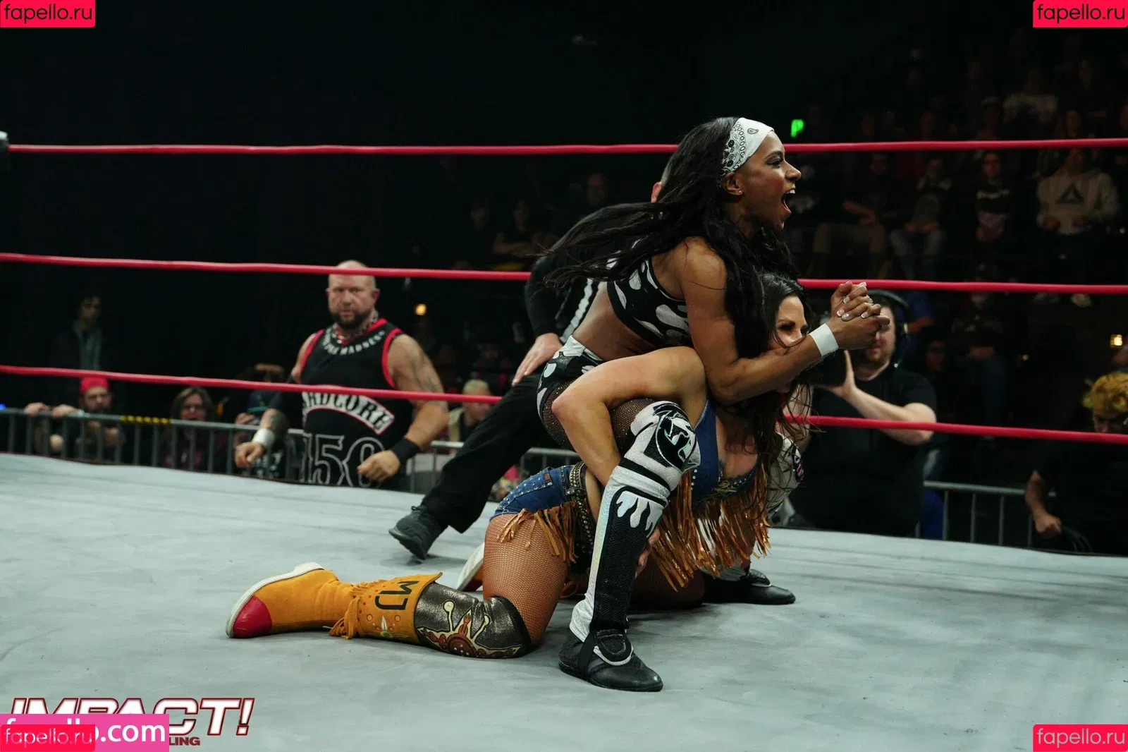 Mickie James / michelejames / themickiejames Onlyfans Photo Gallery 